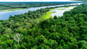 Der Amazonas-Regenwald fasziniert  – und ist ein beliebtes Reiseziel.