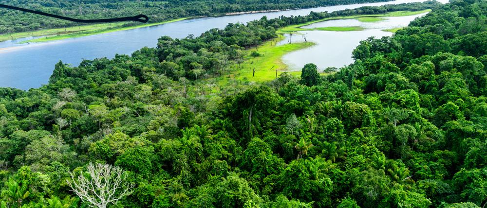 Ein Fluss im Amazonas-Regenwald bei Manau.