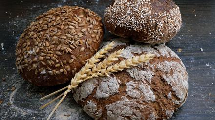 Immer mehr Studien zeigen, dass kein anderer Ernährungsfaktor einen so starken Einfluss auf unsere Gesundheit hat wie der Verzehr von Weizen, Roggen, Hafer, Gerste oder Dinkel. 