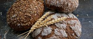 Immer mehr Studien zeigen, dass kein anderer Ernährungsfaktor einen so starken Einfluss auf unsere Gesundheit hat wie der Verzehr von Weizen, Roggen, Hafer, Gerste oder Dinkel. 