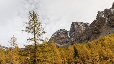 In den Alpen war im Dezember ein deutscher Wanderer verschollen.
