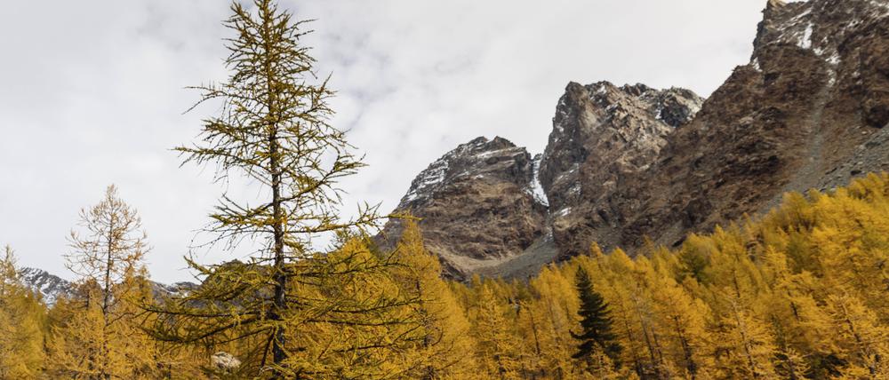 In den Alpen war im Dezember ein deutscher Wanderer verschollen.