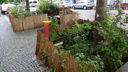 Die Baumscheibe in der Kreuzberger Waldemarstraße/Ecke Adalbertstraße