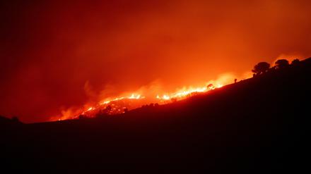 Waldbrand in den Gemeinden Colera und Portbou, nahe der Grenze zu Frankreich. 