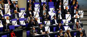 Die AfD-Fraktion im Bundestag - hier bei ihren Protesten gegen Corona-Maßnahmen im Jahr 2020.