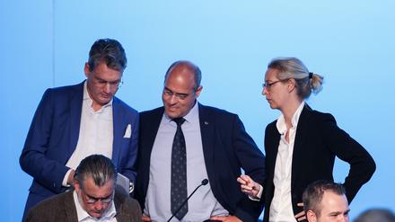 Alice Weidel (r.) mit Peter Boehringer (M.) und Hans-Holger Malcomess (l.)