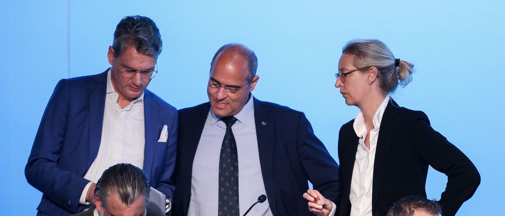 Alice Weidel (r.) mit Peter Boehringer (M.) und Hans-Holger Malcomess (l.)