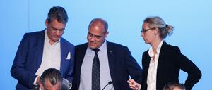Alice Weidel (r.) mit Peter Boehringer (M.) und Hans-Holger Malcomess (l.)