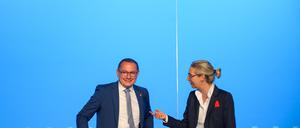 Alice Weidel und Tino Chrupalla haben versucht, die ganz großen Streitigkeiten auf dem AfD-Parteitag hinter den Kulissen zu lösen.