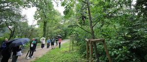 KLIMAWANDEL IM UNESCO-WELTERBE PARK SANSSOUCI RUNDGANG mit Blick auf die FOLGEN UND METHODEN DER BEWÄLTIGUNG DES KLIMAWANDELS Die Auswirkungen des globalen Klimawandels machen auch vor den historischen Gärten nicht Halt. Hohe sommerliche Temperaturen bei abnehmenden Niederschlägen und vermehrt auftretende Wetterextreme wie Stürme und Starkregen bedrohen inzwischen die Bäume, Gehölze und Gestaltungen der denkmalgeschützten Parks existenziell. In einem Rundgang über den Ruinenberg und zentrale Bereiche des Gartens lernen die Teilnehmenden an konkreten Beispielen die Auswirkungen der Klimaveränderungen kennen. Gezeigt und erläutert werden aber auch die zahlreichen Ansätze und konkreten Maßnahmen der Gartendenkmalpfleger:innen und Gärtner:innen, um unser gemeinsames „grünes Erbe" für die Zukunft zu sichern.