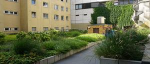 Innenhof der Wohnungsbaugesellschaft Stadt- und Land, die sich an einem Wettbewerb für Grüne Firmengärten beteiligt hatte.