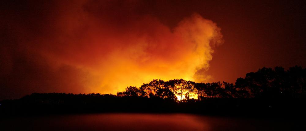 Waldbrand in Aljesur, Portugal.