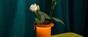 Ist gleichzeitig Lampe und Vase - „Bouquet“ (189 Euro) von Magis und lässt Blumen strahlen.