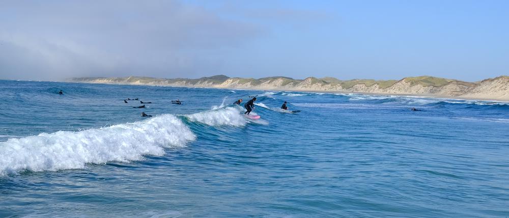 Glatt, regelmäßig, kraftvoll: Die Wellen an der Küste von Nordjütland bieten für Surferinnen und Surfer ideale Bedingungen.