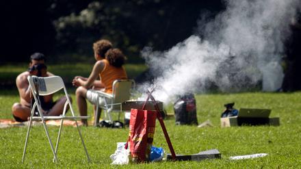 Ein Grill auf einer Wiese.
