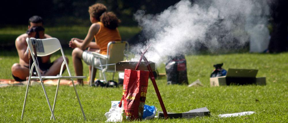 Ein Grill auf einer Wiese.