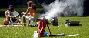 Ein Grill auf einer Wiese.