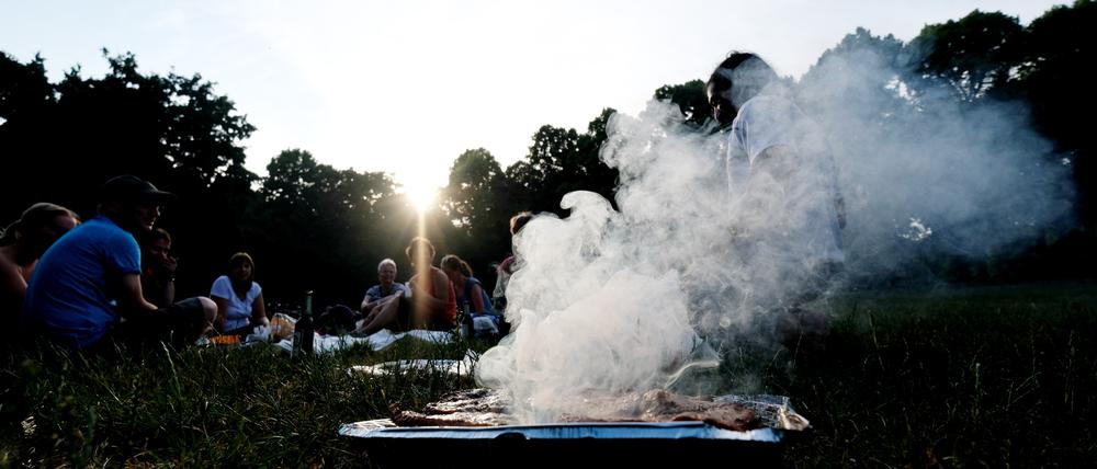 Grillen an einem Sommerabend im Clara-Zetkin-Park in Leipzig