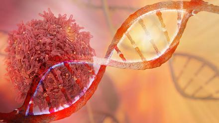 Zelltherapie: Statt Pillen werden Zellen in der Medizin genutzt, um Krankheiten zu erkennen und zu heilen.
