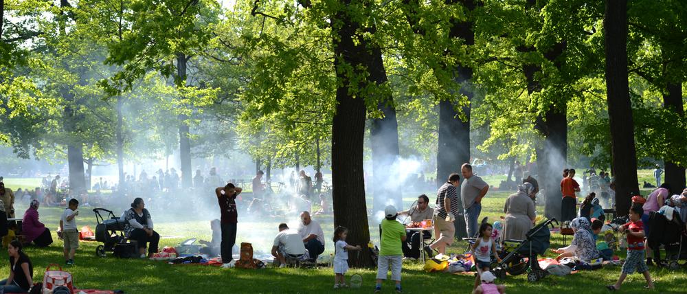 Gegrillt wird am Dienstag (01.05.2012) in der Parkanlage Schlesischer Busch in Berlin Alt- Treptow. Laut Meteorologen soll es bis Mittwoch (02.05.2012) sonnig und sehr warm bleiben. Die Gewitterneigung nimmt dabei aber zu. Zur Wochenmitte soll es wieder etwas kühler werden. Foto: Rainer Jensen dpa/lbn ++ +++ dpa-Bildfunk +++