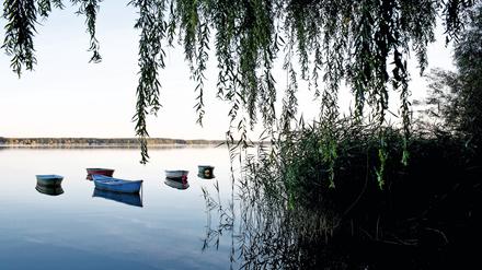 Der Schwielochsee am Rande des Spreewaldes.