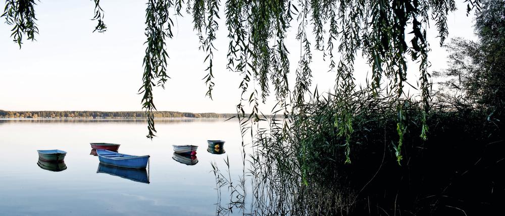 Der Schwielochsee am Rande des Spreewaldes.