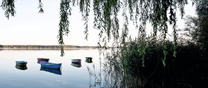 Der Schwielochsee am Rande des Spreewaldes.