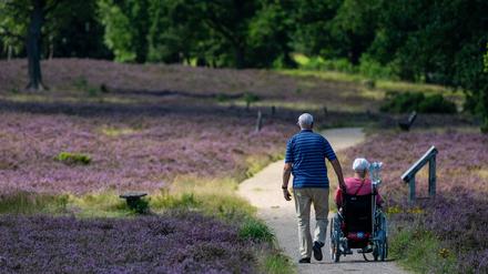 Paar im Naturschutzpark Lüneburger Heide. 