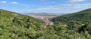 Das mehrheitlich von ethnischen Albanern bewohnte Presevo-Tal liegt im Südwesten Serbiens.