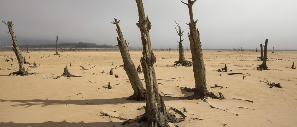 Die Wasserkrise in Folge der schlimmsten Dürre seit über hundert Jahren spitzt sich in Südafrikas Touristenmetropole Kapstadt zu. Der für die Versorgung wichtige Speichersee Theewaterskloof und andere Reservoire sind fast leer.