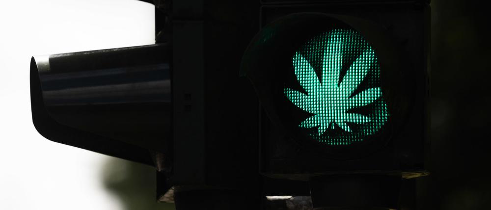 Grünes Licht für Kiffer - so will es die Ampel. 