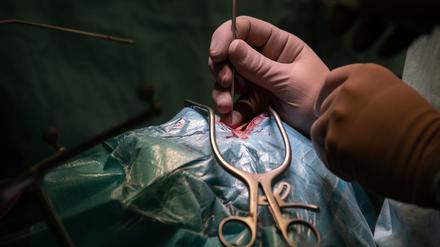 Vor allem bei chirurgischen Eingriffen vermuteten Patienten oft Behandlungsfehler.