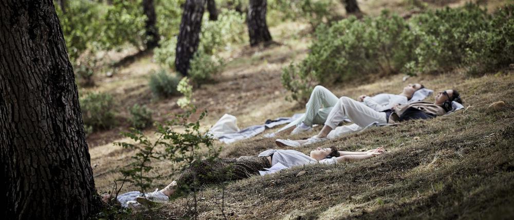 Licht. Die Wälder bei Avignon, wo das Projekt „Shared Landscapes“, das jetzt nach Brandenburg kommt, beim Festival d’Avignon lief.