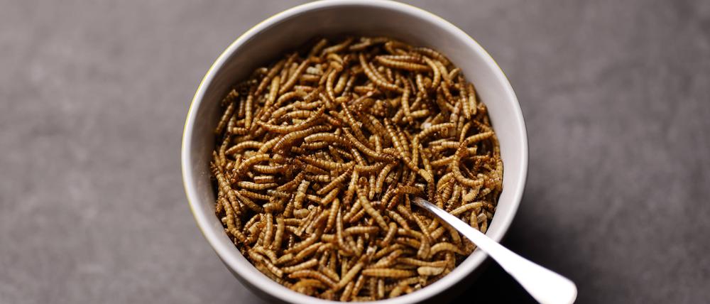 Mal was anderes: getrocknete Mehlwürmer statt Müsli. Laut Experten durchaus zu empfehlen.