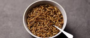 Mal was anderes: getrocknete Mehlwürmer statt Müsli. Laut Experten durchaus zu empfehlen.