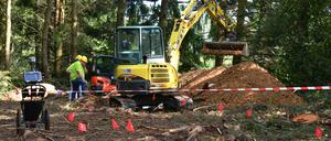 Arbeiter beginnen mit der Exhumierung der sterblichen Überreste von deutschen Soldaten, sowie einer der Kollaboration beschuldigten Französin.