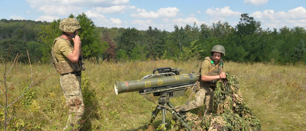 Ukrainische Soldaten am 17. August beim Militärtraining.