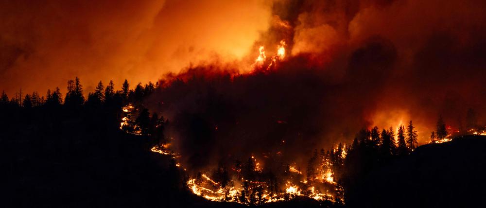 Notstand wegen Waldbränden: In British Columbia tobt das Feuer.
