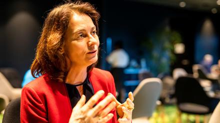 Katarina Barley (SPD) ist Mitglied der sozialdemokratischen Fraktion des Europäischen Parlaments.
