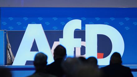 Die AfD in Magdeburg.