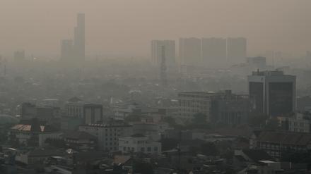 In Jakarta versinken nicht nur die Gebäude im Smog. 