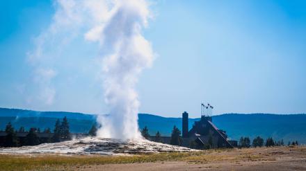 Old Faithful Geysir im Yellowstone National Park.