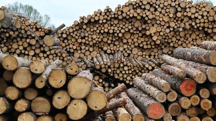 Vor allem bei Energie und Holz sind die Preise auf Herstellerebene im Juli so stark gesunken wie zuletzt in der globalen Wirtschafts- und Finanzkrise.