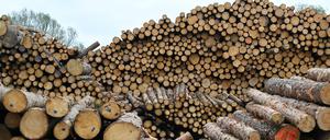 Baumstämme lagern zur Weiterverarbeitung in einem bayerischen Sägewerk.
