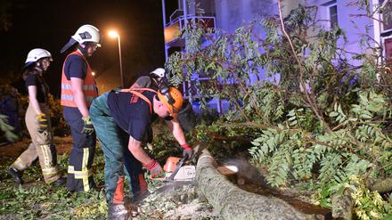 Ein Feuerwehrmann zersägt einen umgefallenen Baum.