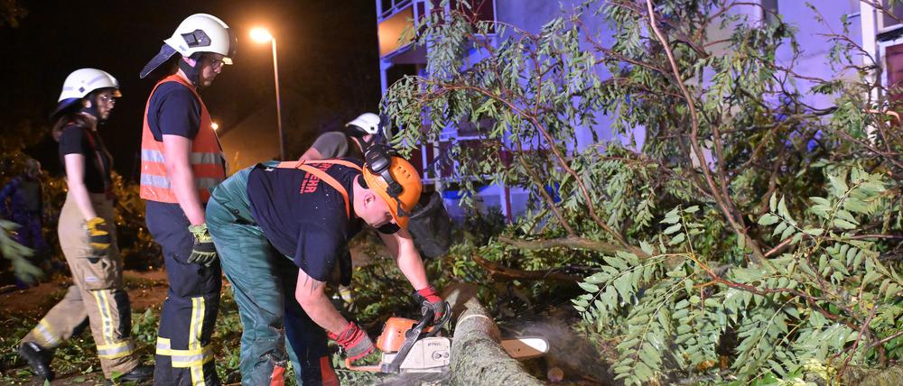 Ein Feuerwehrmann zersägt einen umgefallenen Baum.