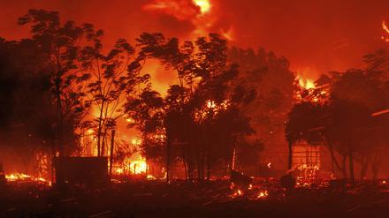 21.08.2023, Griechenland, Avantas: Das Feuer verbrennt ein Haus im Dorf in der Nähe der Stadt Alexandroupolis in der nordöstlichen Region Evros.