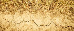 Eine Vielzahl an Staaten hat die UN-Frist für das Vorlegen neuer Klimapläne am 10. Februar überschritten.
