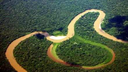 Ein Fluss schlängelt sich durch den Yasuní-Nationalpark in Ecuador.