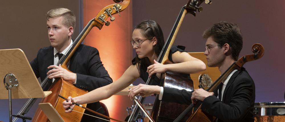 Tiefe Streicher des Orchesters der Estnischen Akademie für Musik und Theater im Konzerthaus.